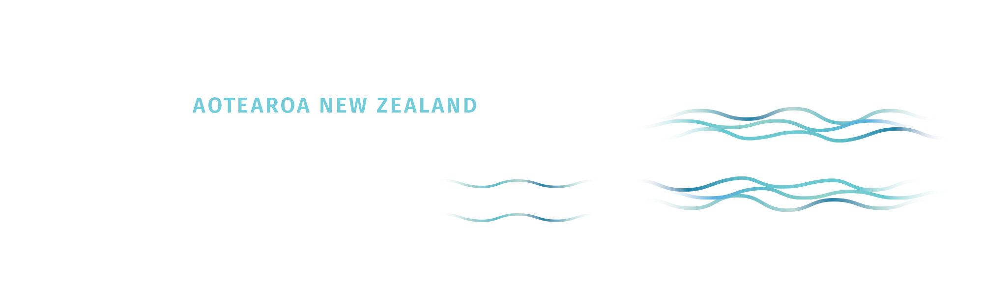 ACEM Aotearoa NZ Annual Conference 2024