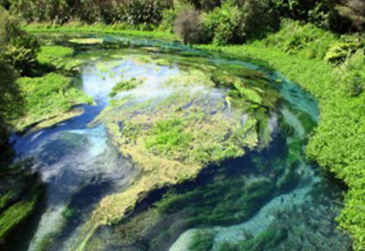 Waikato Walking Trails