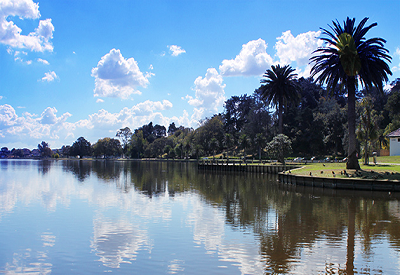 Hamilton Lake Domain