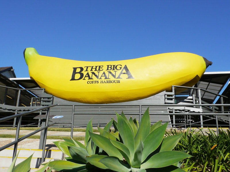 The Big Banana Fun Park Photo
