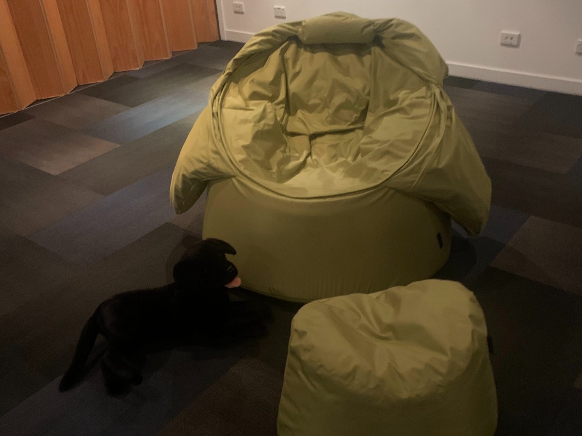 Low sensory room with bean bags and toy dog