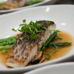 photo of main dinner plate of fish