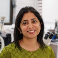 Professor Madhu Bhaskaran