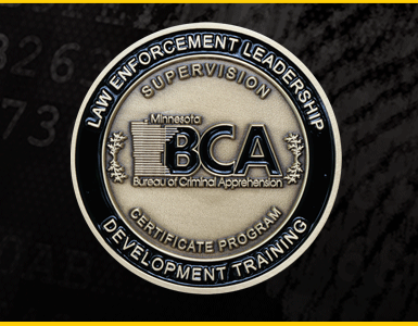 BCA Supervision Certificate coin