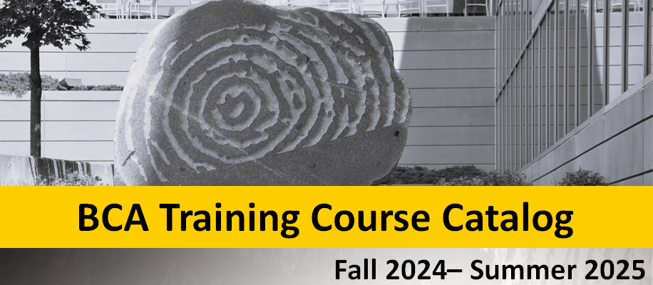 BCA Course Catalog