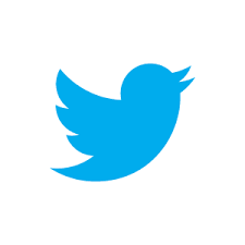 RÃ©sultat de recherche d'images pour "symbol twitter"